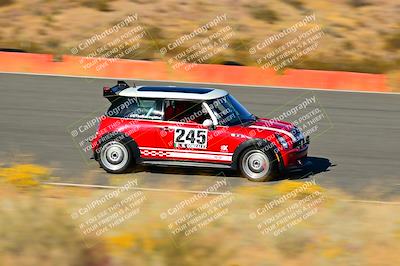 media/Nov-16-2024-Extreme Speed (Sat) [[6587d07cc4]]/Gold Group/Session 3 (The Bowl)/
